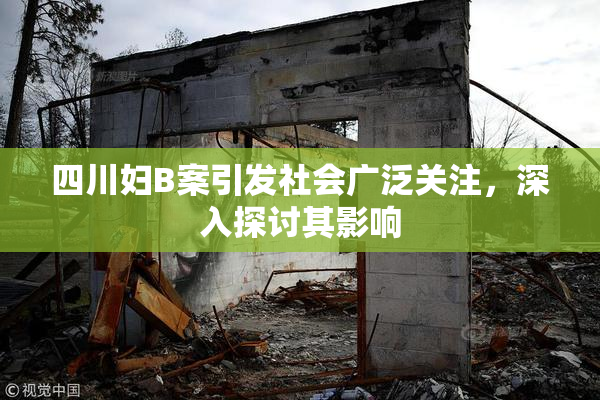四川妇B案引发社会广泛关注，深入探讨其影响