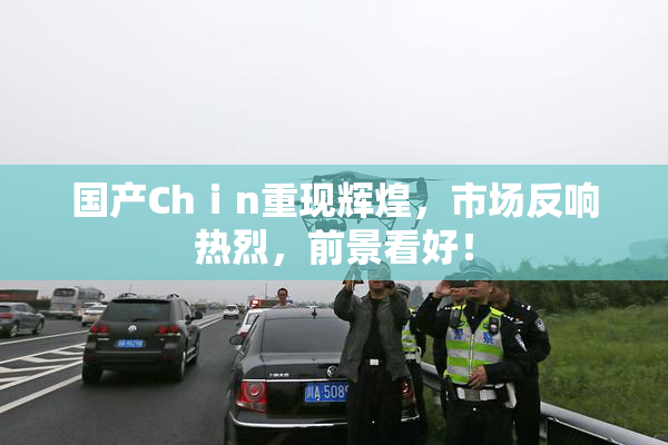 国产Chⅰn重现辉煌，市场反响热烈，前景看好！
