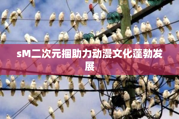 sM二次元捆助力动漫文化蓬勃发展