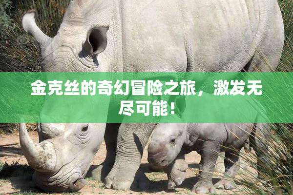 金克丝的奇幻冒险之旅，激发无尽可能！