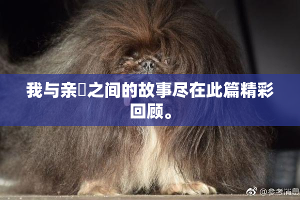 我与亲妺之间的故事尽在此篇精彩回顾。