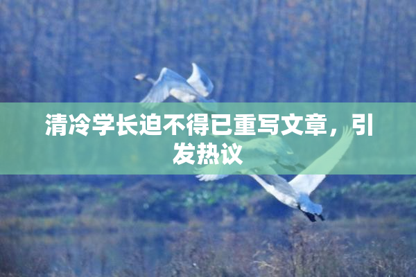 清冷学长迫不得已重写文章，引发热议