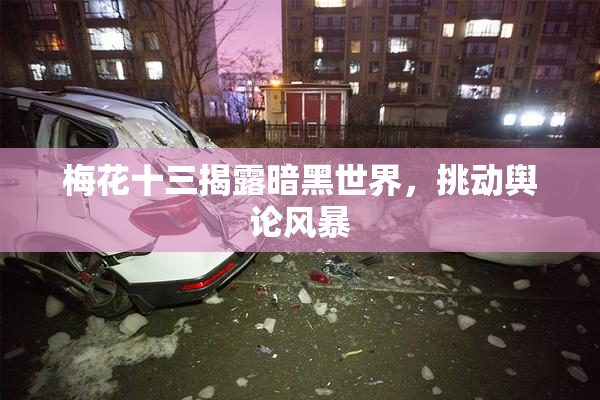 梅花十三揭露暗黑世界，挑动舆论风暴