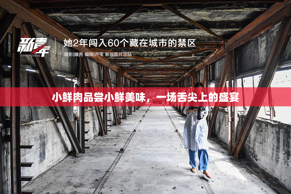 小鲜肉品尝小鲜美味，一场舌尖上的盛宴