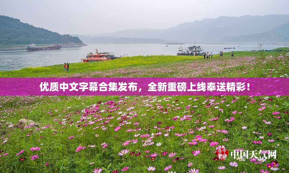 优质中文字幕合集发布，全新重磅上线奉送精彩！