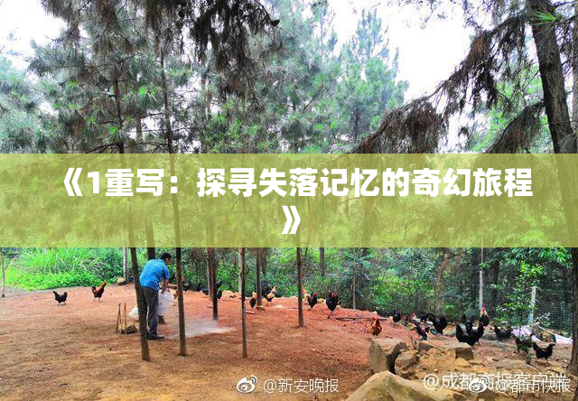 《1重写：探寻失落记忆的奇幻旅程》