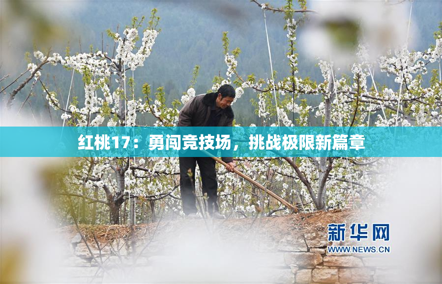 红桃17：勇闯竞技场，挑战极限新篇章
