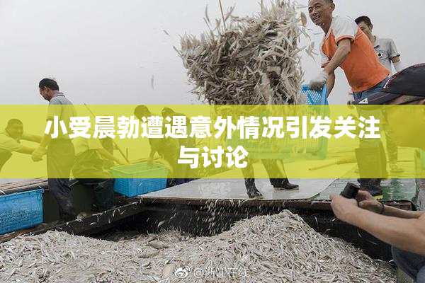 小受晨勃遭遇意外情况引发关注与讨论