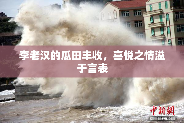 李老汉的瓜田丰收，喜悦之情溢于言表