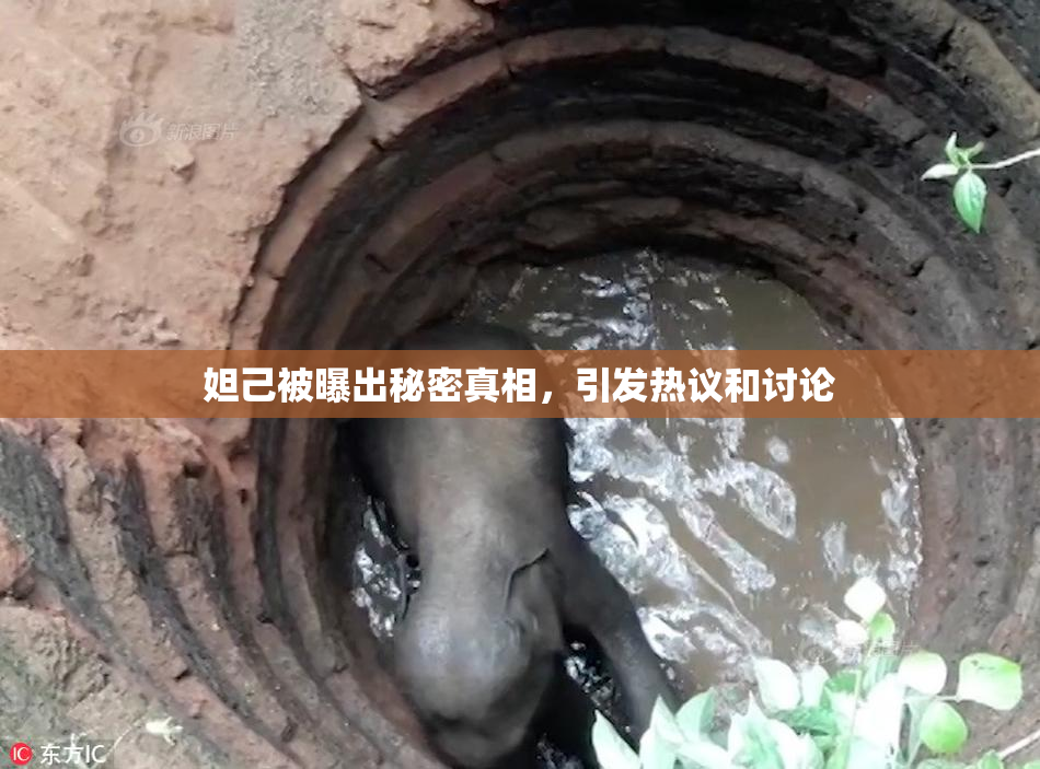 妲己被曝出秘密真相，引发热议和讨论