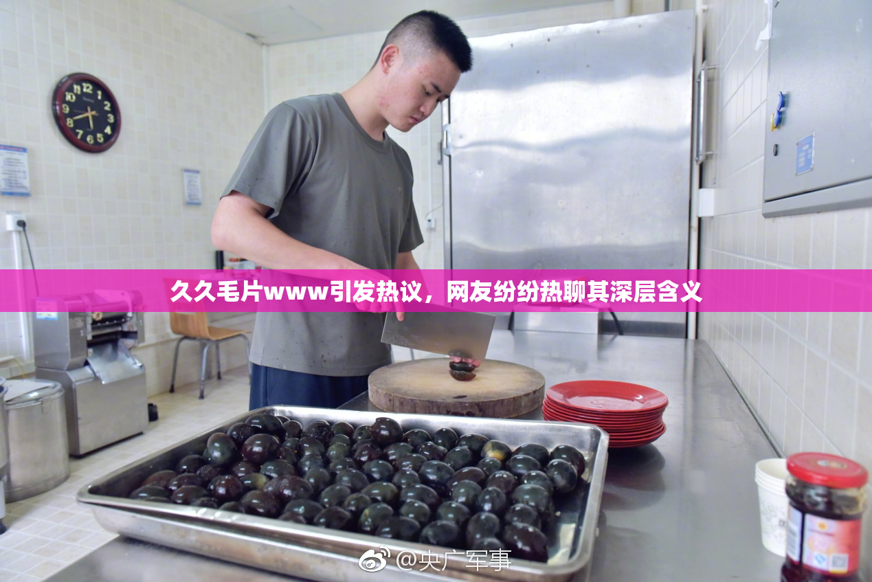 久久毛片www引发热议，网友纷纷热聊其深层含义