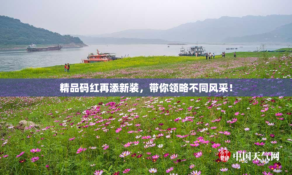 精品码红再添新装，带你领略不同风采！
