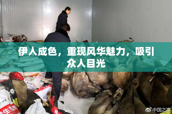 伊人成色，重现风华魅力，吸引众人目光