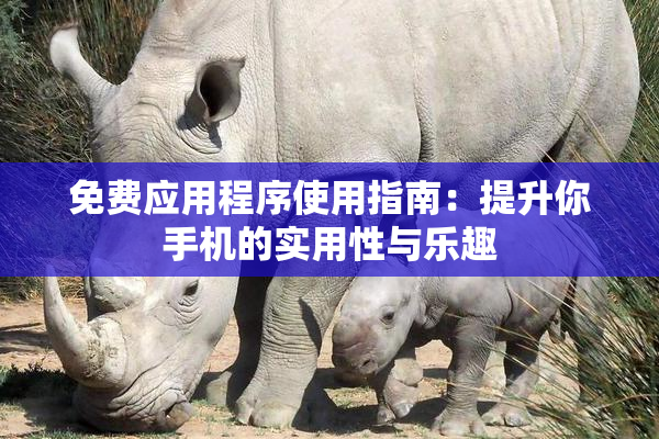 免费应用程序使用指南：提升你手机的实用性与乐趣