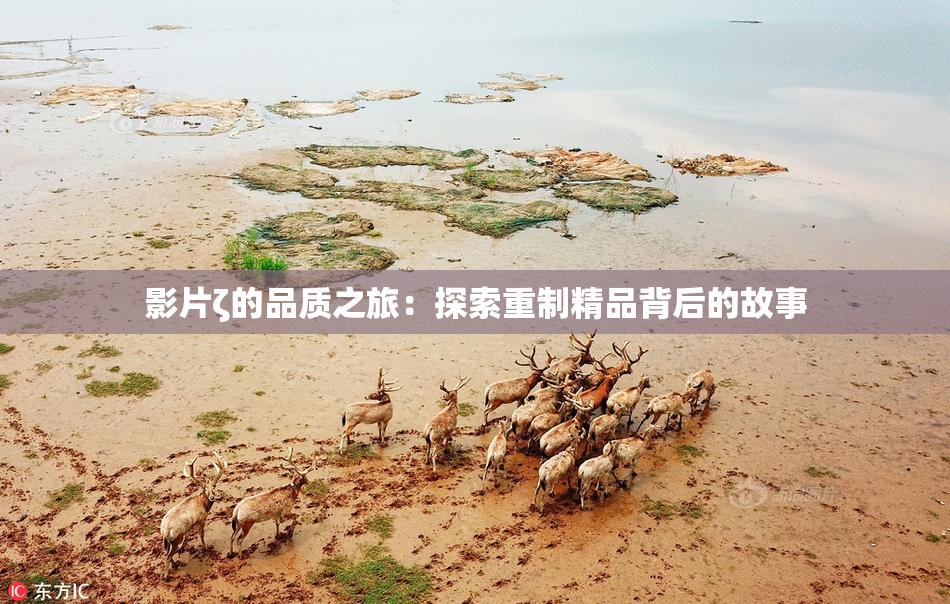 影片ζ的品质之旅：探索重制精品背后的故事