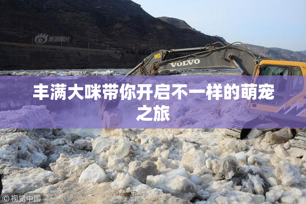 丰满大咪带你开启不一样的萌宠之旅