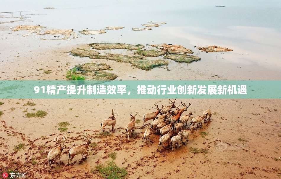 91精产提升制造效率，推动行业创新发展新机遇