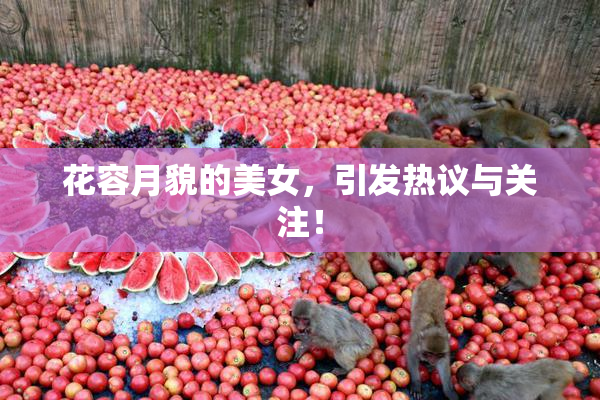 花容月貌的美女，引发热议与关注！