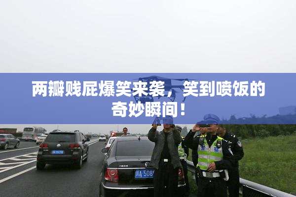 两瓣贱屁爆笑来袭，笑到喷饭的奇妙瞬间！