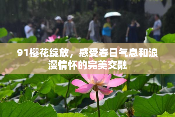91樱花绽放，感受春日气息和浪漫情怀的完美交融