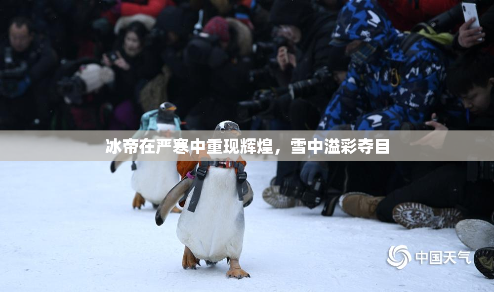 冰帝在严寒中重现辉煌，雪中溢彩夺目