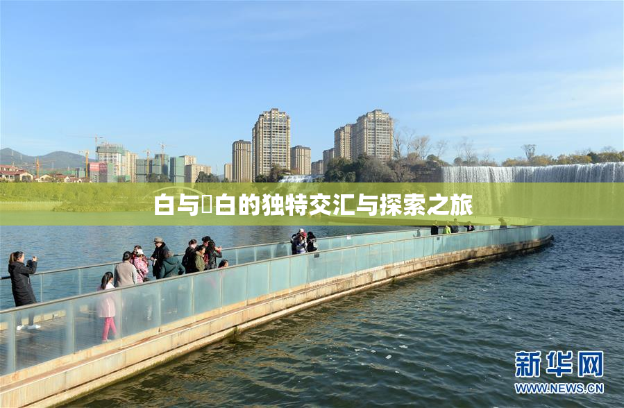 白与晄白的独特交汇与探索之旅
