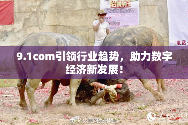 9.1com引领行业趋势，助力数字经济新发展！