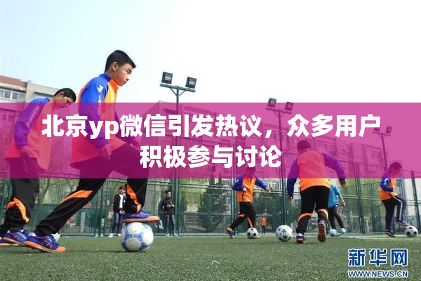 北京yp微信引发热议，众多用户积极参与讨论