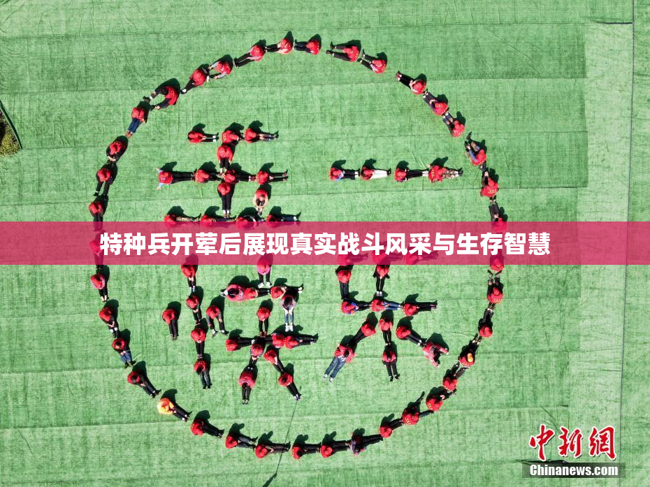 特种兵开荤后展现真实战斗风采与生存智慧