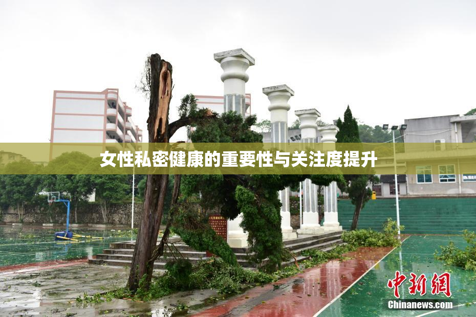 女性私密健康的重要性与关注度提升