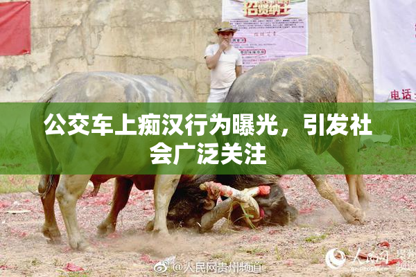 公交车上痴汉行为曝光，引发社会广泛关注