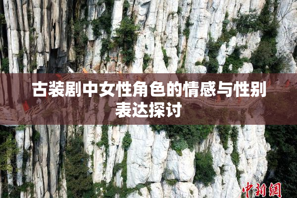 古装剧中女性角色的情感与性别表达探讨