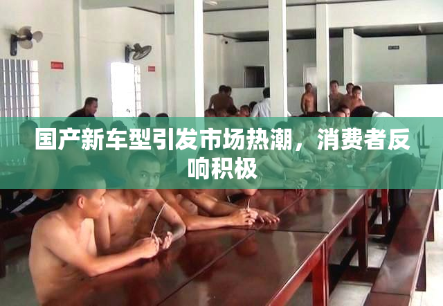 国产新车型引发市场热潮，消费者反响积极
