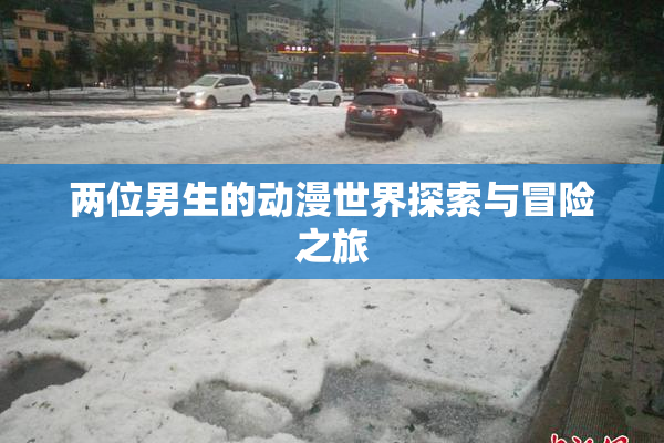 两位男生的动漫世界探索与冒险之旅