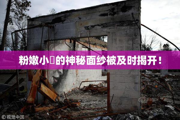 粉嫩小泬的神秘面纱被及时揭开！
