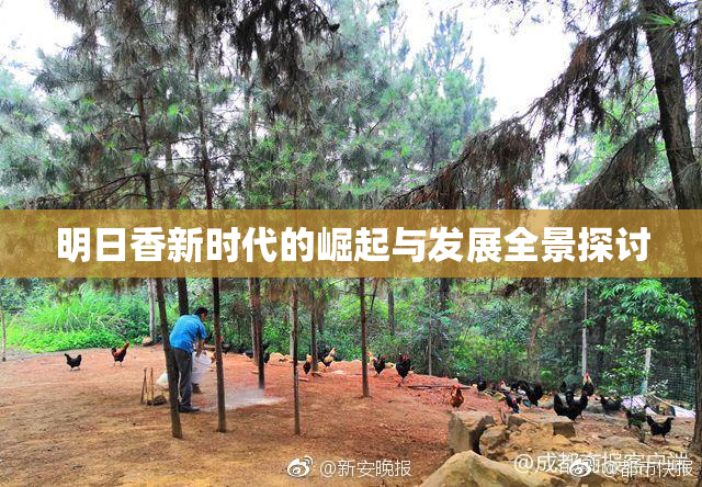 明日香新时代的崛起与发展全景探讨