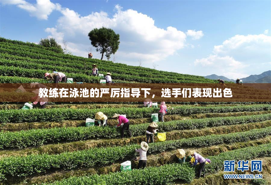 教练在泳池的严厉指导下，选手们表现出色