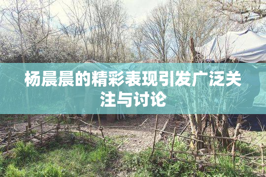杨晨晨的精彩表现引发广泛关注与讨论