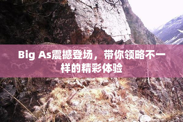 Big As震撼登场，带你领略不一样的精彩体验