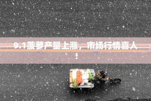 9.1菠萝产量上涨，市场行情喜人！