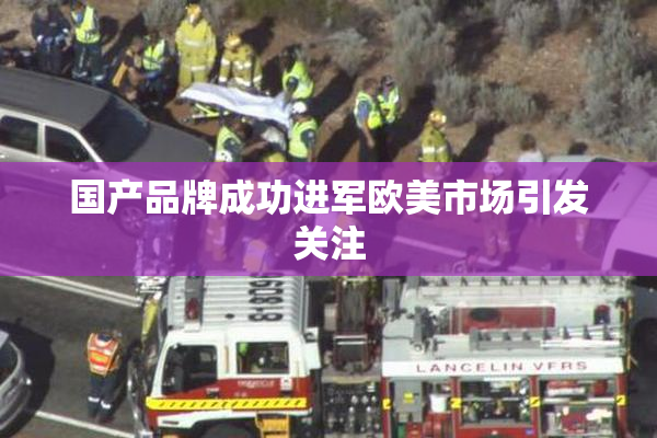 国产品牌成功进军欧美市场引发关注