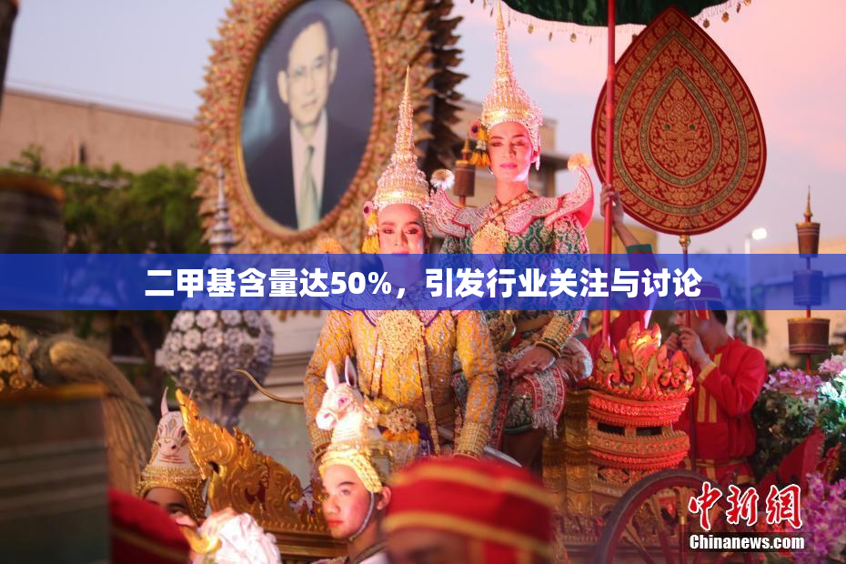 二甲基含量达50%，引发行业关注与讨论