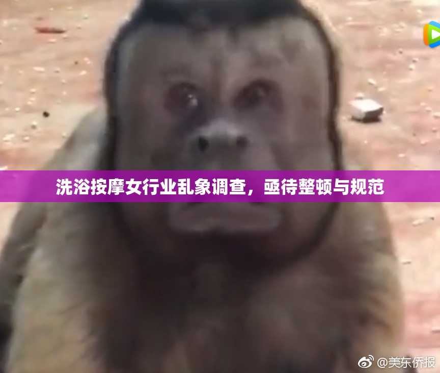 洗浴按摩女行业乱象调查，亟待整顿与规范