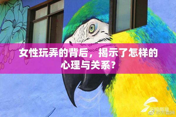 女性玩弄的背后，揭示了怎样的心理与关系？