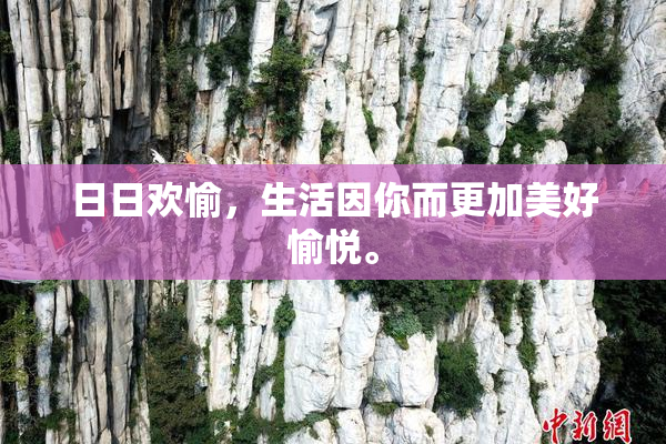 日日欢愉，生活因你而更加美好愉悦。