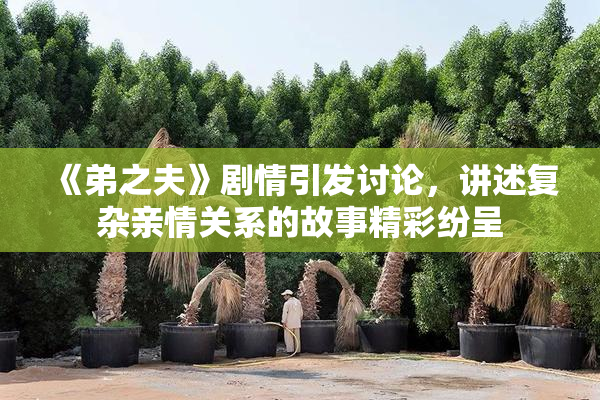 《弟之夫》剧情引发讨论，讲述复杂亲情关系的故事精彩纷呈