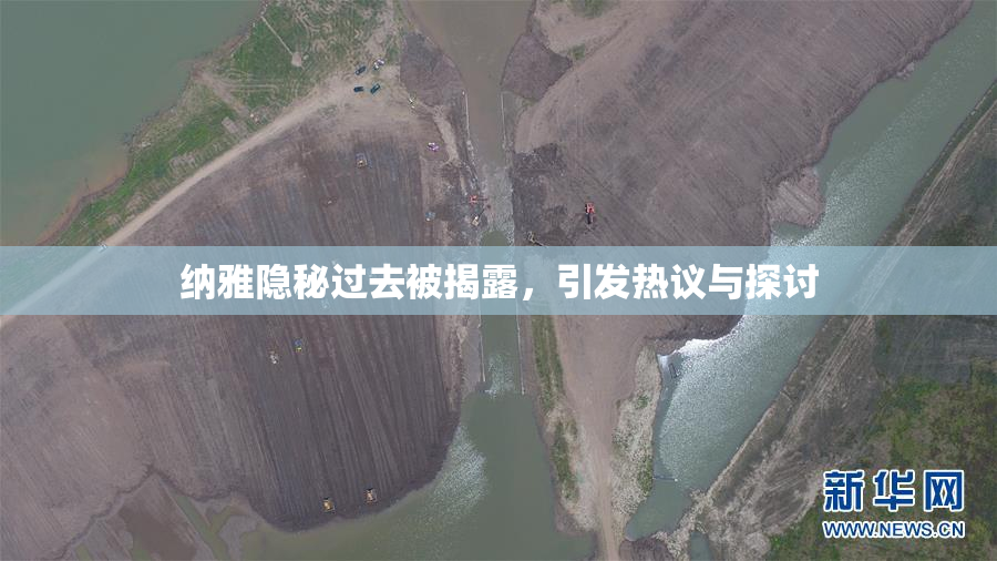 纳雅隐秘过去被揭露，引发热议与探讨