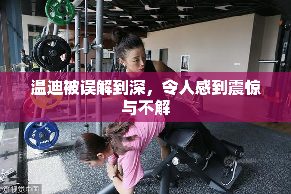 温迪被误解到深，令人感到震惊与不解