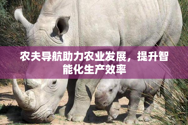 农夫导航助力农业发展，提升智能化生产效率