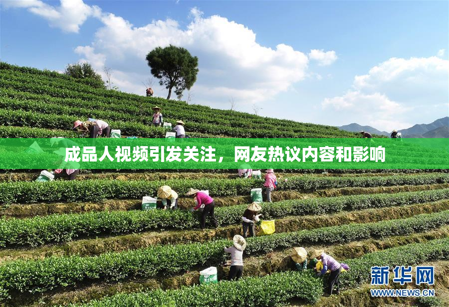 成品人视频引发关注，网友热议内容和影响